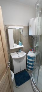 科拉欣Holiday Home Sofija的一间带水槽、卫生间和镜子的浴室