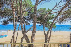 坎布里尔斯Playmar Litoral Costa Dorada - ONLY FAMILIES的一片树木繁茂的海滩,一片大海