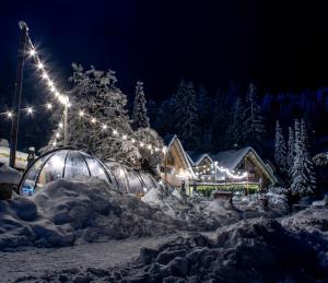 克拉尼斯卡戈拉Jasna Chalet Resort的夜晚雪中灯火通明的房子