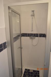PalmeiraLA VELA的浴室里设有玻璃门淋浴