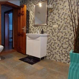 KocēniLauviņu rezidence的浴室设有水槽和墙上的镜子