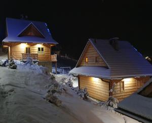 亚沃尔基Osada Jaworki B&B的两所房子被雪覆盖,上面有灯