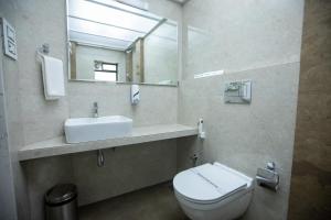 孟买Hotel Naaz Executive的一间带卫生间、水槽和镜子的浴室