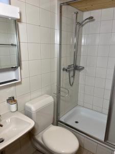塞利斯贝格Appartement Seelewärmerli - Balsam für Ihre Seele的带淋浴、卫生间和盥洗盆的浴室