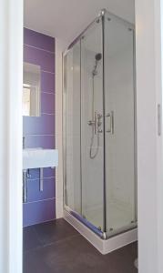 阿威罗阿维罗罗西奥旅舍的一个带水槽的玻璃淋浴间