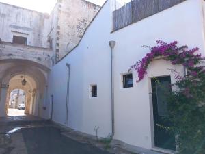 塔维亚诺Casa a Corte nel centro storico的白色的建筑,上面有一扇鲜花门