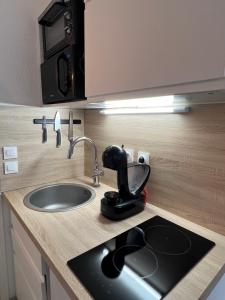 尼斯Studio Nice port的厨房柜台设有水槽和搅拌机