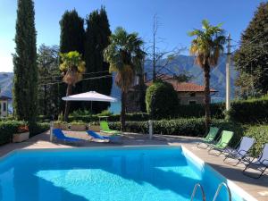 特雷梅佐Residence Belvedere Apartment Bolvedro的一个带椅子和棕榈树的游泳池以及一座房子