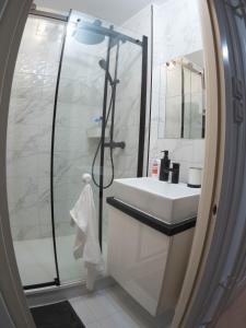 佩奇Pajger Apartman Egyetemváros的浴室配有盥洗盆和带镜子的淋浴