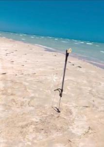 杰尔吉斯Kmi的沙滩上的木棍