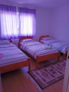ĆukoviRooms-Vasva and Hazim的带窗户和地毯的客房内的三张床