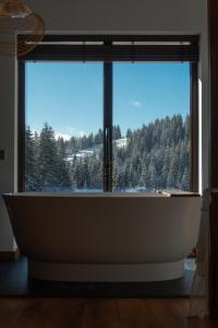 亚布卢尼齐亚Chillax Chalet的带浴缸的大窗户
