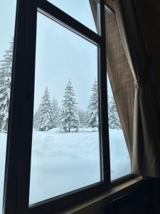 扎布利亚克Mountain Houses Emilija的窗户享有雪覆盖的田野美景
