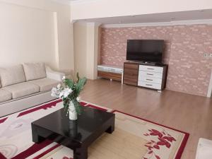 安卡拉Sky Ankara Big Suit Home的带沙发和电视的客厅