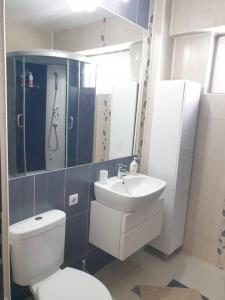 锡比乌Leaf House的浴室配有卫生间、盥洗盆和淋浴。