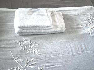蒙特埃莫索Beach House Monte Hermoso的床上一双毛巾