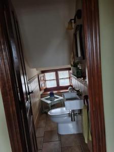 奧瑞那La Torruca的一间带卫生间和水槽的小浴室