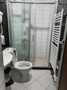 普里莱普Deni Apartments的带淋浴、卫生间和盥洗盆的浴室
