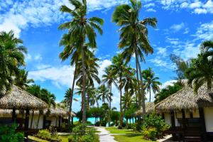 阿鲁坦加琼崖海棠海滩酒店的度假村前一排棕榈树