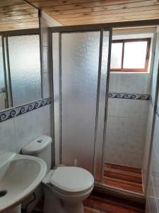 埃尔基斯科PUNTA DE TRALCA SUITES的浴室配有卫生间、盥洗盆和淋浴。