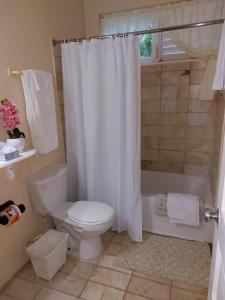 拉纳韦贝Cozy Villa Escape的浴室配有卫生间、浴缸和淋浴帘