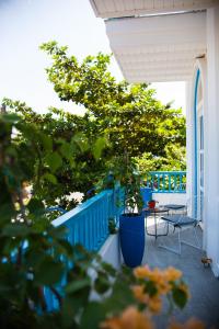 岘港Santori Hotel Da Nang Bay的一个带蓝色栅栏和盆栽树的门廊