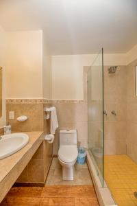 罗阿坦Exclusive Full House - 3 BDRM & 3 BATH - 3min Beach的浴室配有卫生间、盥洗盆和淋浴。