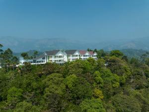 蒙纳Sprise Munnar Resort and Spa的树上山顶的房子