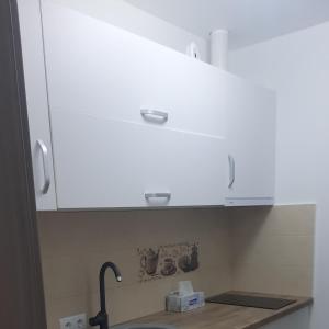 锡比乌*Studio David*的厨房内的白色橱柜,配有水槽