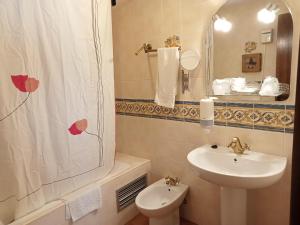 BerzocanaHotel Villa de Berzocana的一间带水槽、卫生间和淋浴的浴室