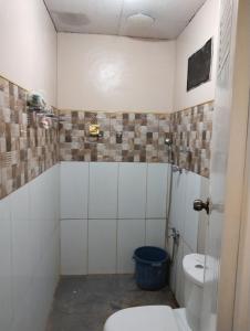 爱妮岛Tay Delings place的一间带卫生间和淋浴的浴室
