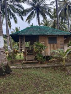 爱妮岛Tay Delings place的度假村内一座带草屋顶的小房子