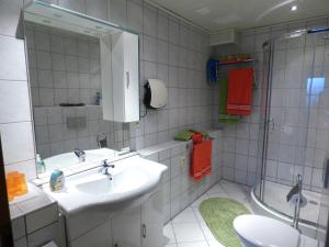 HermsdorfAdrett的一间带水槽和淋浴的浴室