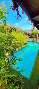 克尼斯纳Paradise Private Zen Studios的庭院里的一个蓝色海水游泳池