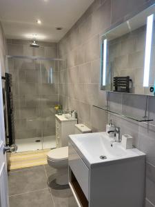 利明顿温泉Regency Apartment的一间带水槽、卫生间和淋浴的浴室