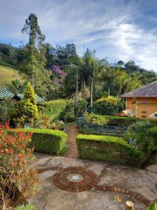 Divino de São LourençoChácara Toca da Zuca的一个带长凳和灌木的花园
