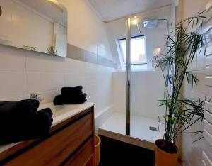 凯泽贝尔Rooms 6 persons Kaysersberg的带淋浴和水槽及两株植物的浴室