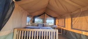 Kisarukabwoya Safari camp Kaiso village的帐篷内的卧室,配有一张床