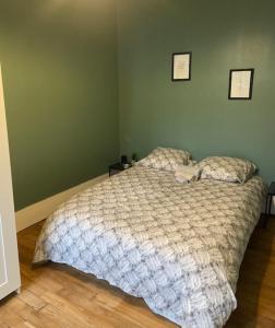 圣但尼LE COSY de Saint-Denis的一间设有床铺的卧室,位于一个拥有绿色墙壁的房间