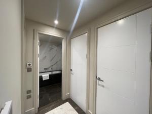 齐格威尔Sophisticated 1BR, 1 BA Chigwell Designer Flat CHCL F2的设有带步入式淋浴间和盥洗盆的浴室