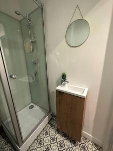 圣但尼LE COSY de Saint-Denis的带淋浴、盥洗盆和镜子的浴室