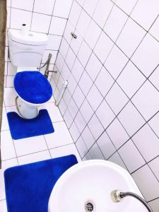 博克斯堡PRIME GUEST HOUSE的浴室设有蓝色的卫生间和水槽。