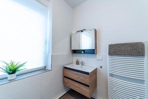 纽伦堡Renoviert und Modern的一间带水槽和镜子的浴室