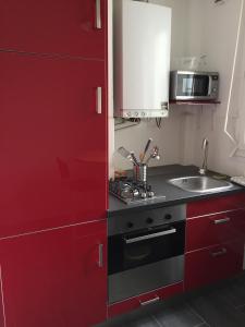 布雷斯特L'Aiguillon, bel appartement hyper-centre的一间带红色橱柜和水槽的厨房