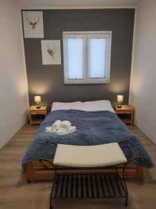 库多瓦-兹德鲁伊Apartamenty & Pokoje pod Gruszą的一间卧室配有一张带蓝色毯子的床和窗户。