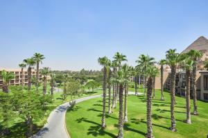 开罗开罗米娜宫万豪酒店的棕榈树公园的空中景致