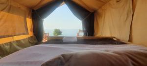 Kisarukabwoya Safari camp Kaiso village的帐篷内的一张大床,设有窗户