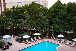 福乐顿市加州州立大学富勒顿万豪酒店的享有带椅子和遮阳伞的游泳池的上方景色