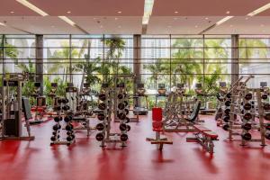 巴拿马城巴拿马喜来登大酒店的健身房设有一排健身自行车和跑步机