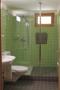 Maiensäss La Scera Val Poschiavo的绿色瓷砖浴室设有淋浴和卫生间
